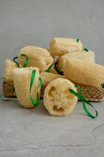 Picture of Plantuffa - From Plant + Loofah